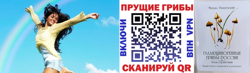 Галлюциногенные грибы мухоморы  ОМГ ОМГ вход  Реутов 